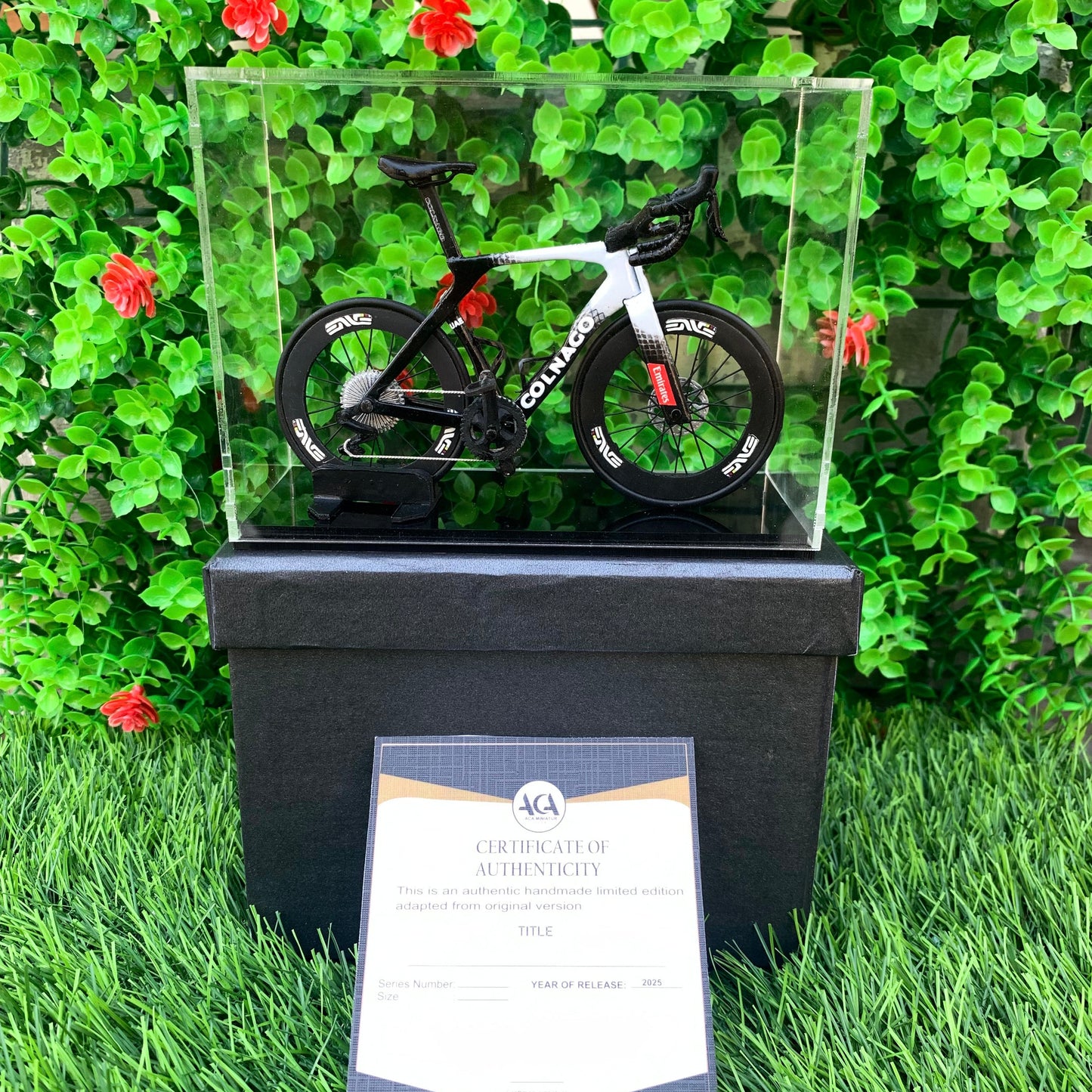 COLNAGO Y1Rs - Handmade Miniature Bicycle