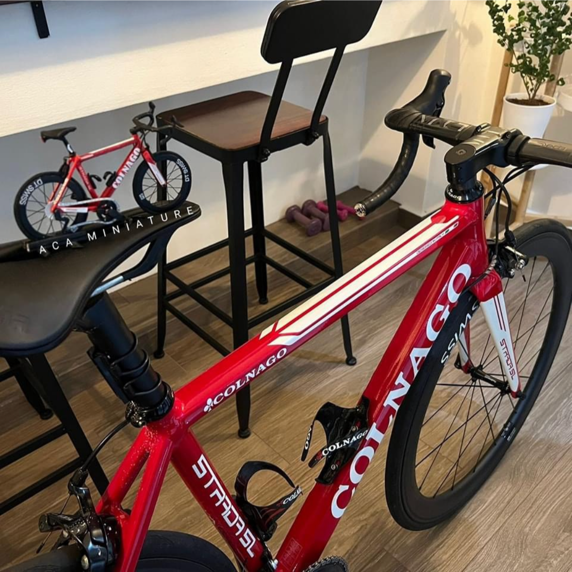 CUSTOM BICYCLE - Miniature Replica of Your Bike