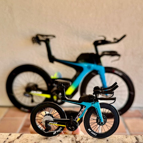CUSTOM BICYCLE - Miniature Replica of Your Bike