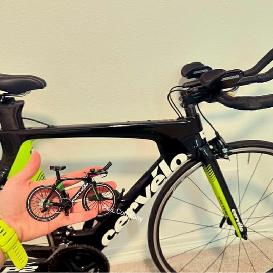 CUSTOM BICYCLE - Miniature Replica of Your Bike