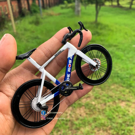 Miniature Handmade Merak De Rosa Bike
